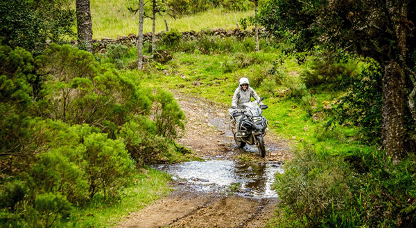 Treinamento Road Explorer